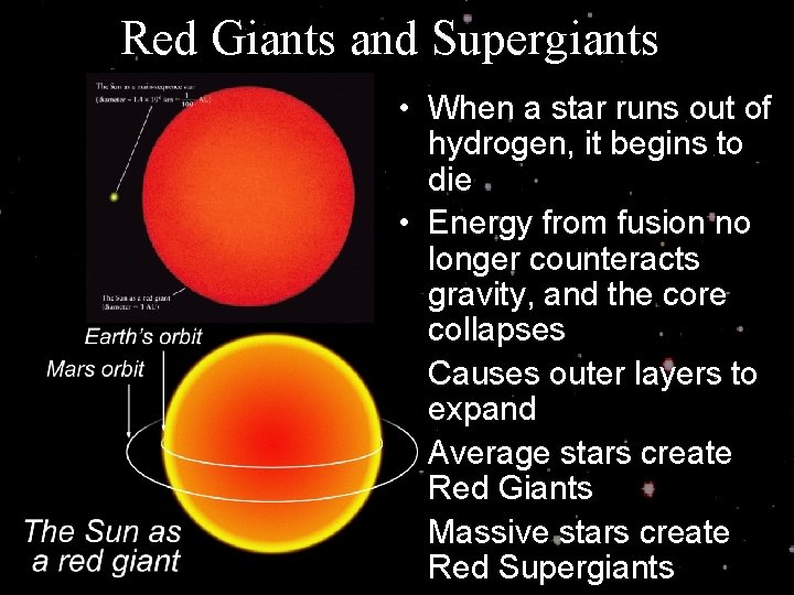 Red Giants and Supergiants • When a star runs out of hydrogen, it begins