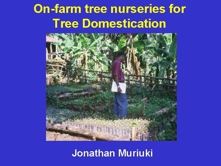 On-farm tree nurseries for Tree Domestication Jonathan Muriuki 