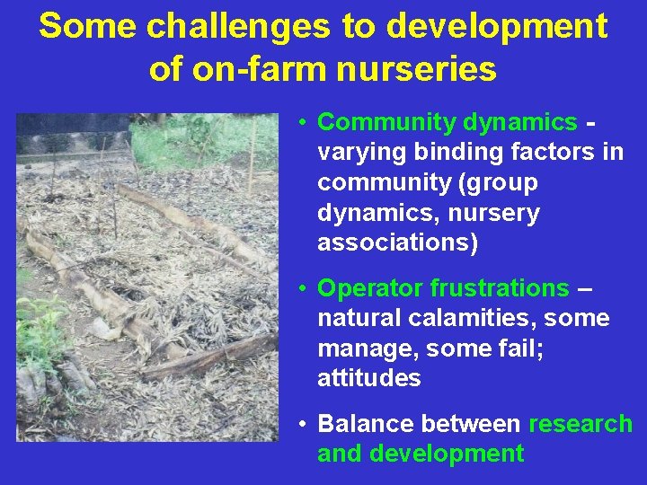 Some challenges to development of on-farm nurseries • Community dynamics varying binding factors in