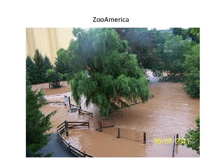 Zoo. America 