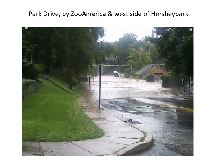 Park Drive, by Zoo. America & west side of Hersheypark 
