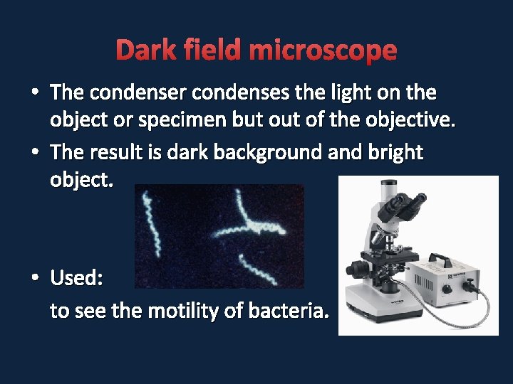 Dark field microscope • The condenser condenses the light on the object or specimen