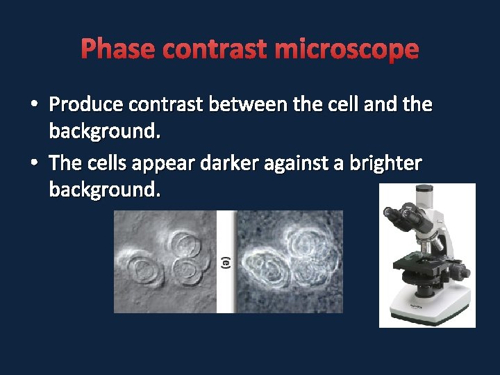 Phase contrast microscope • Produce contrast between the cell and the background. • The