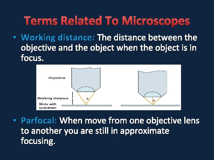 Terms Related To Microscopes • Working distance: The distance between the objective and the