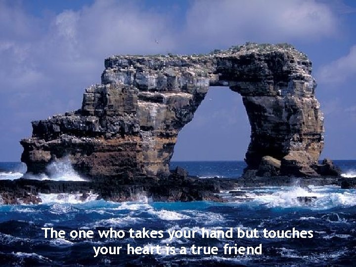 The one who takes your hand but touches your heart is a true friend