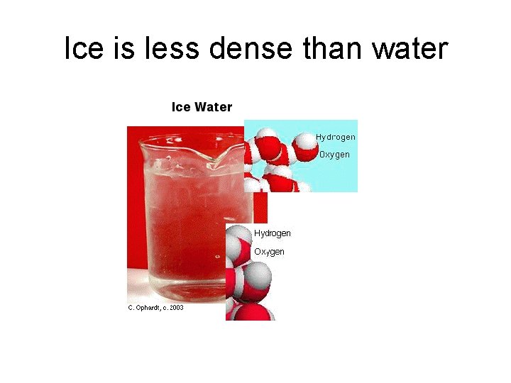 Ice is less dense than water 
