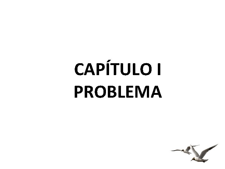CAPÍTULO I PROBLEMA 