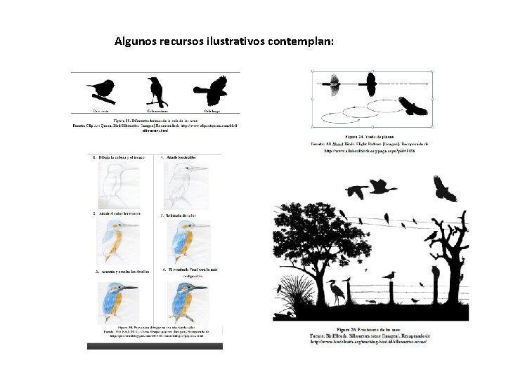 Algunos recursos ilustrativos contemplan: 