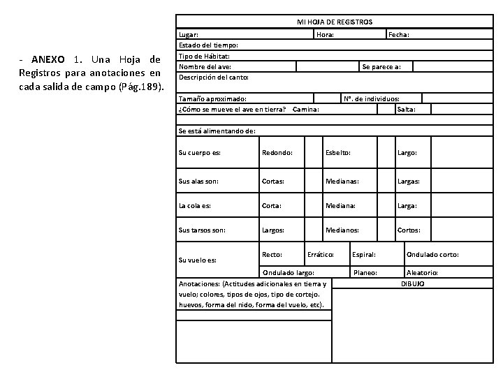 MI HOJA DE REGISTROS - ANEXO 1. Una Hoja de Registros para anotaciones en