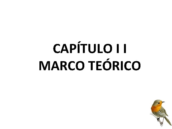 CAPÍTULO I I MARCO TEÓRICO 