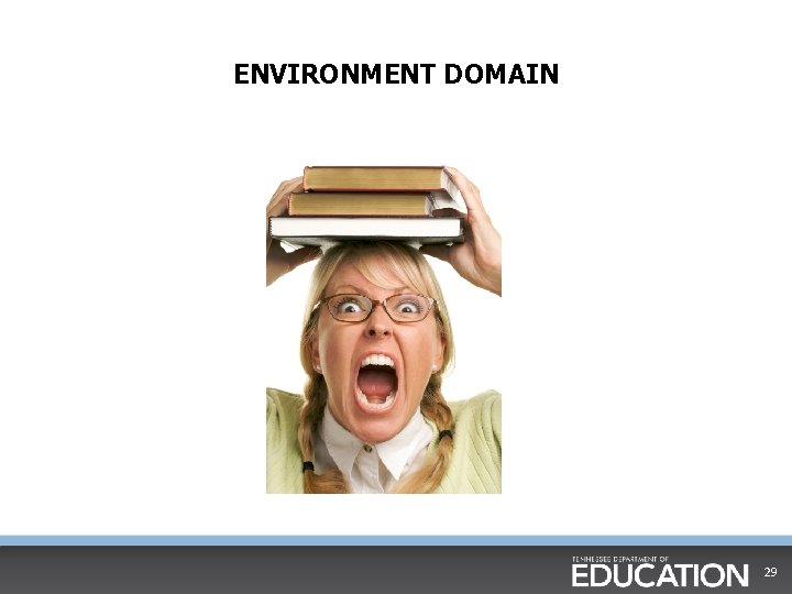 ENVIRONMENT DOMAIN 29 