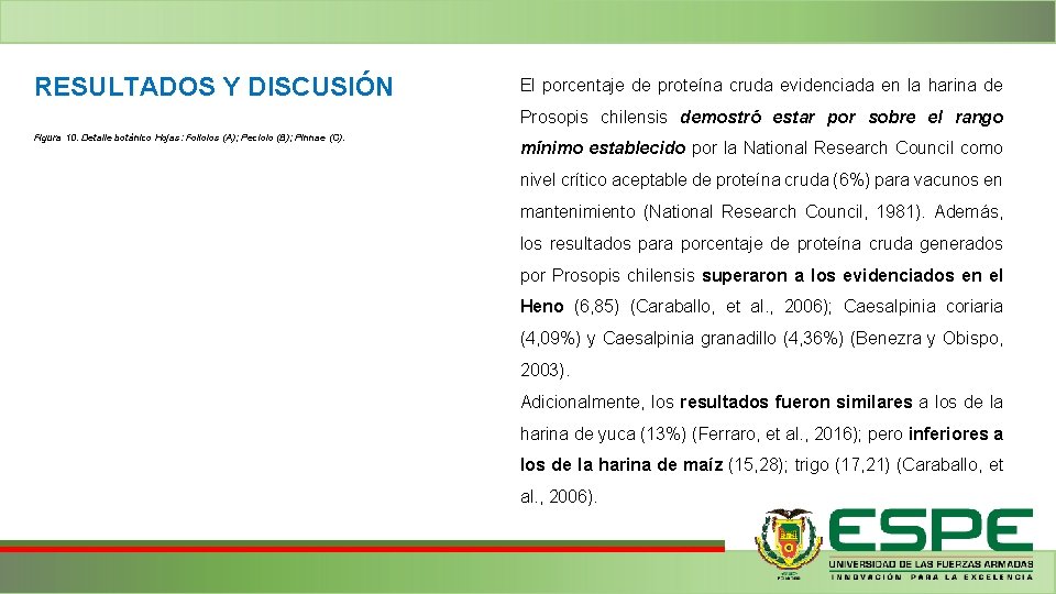 RESULTADOS Y DISCUSIÓN El porcentaje de proteína cruda evidenciada en la harina de Prosopis RESULTADOS Y DISCUSIÓN El porcentaje de proteína cruda evidenciada en la harina de Prosopis