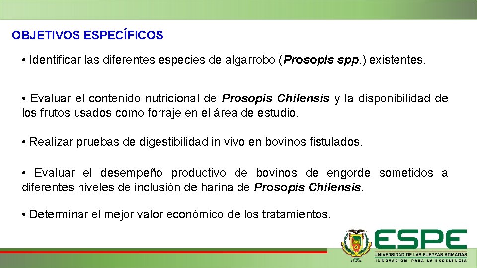 OBJETIVOS ESPECÍFICOS • Identificar las diferentes especies de algarrobo (Prosopis spp. ) existentes. • OBJETIVOS ESPECÍFICOS • Identificar las diferentes especies de algarrobo (Prosopis spp. ) existentes. •