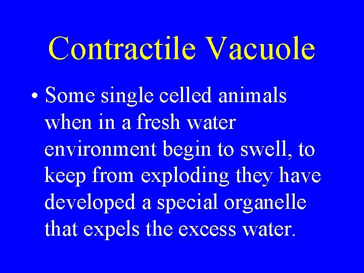 Contractile Vacuole • Some single celled animals when in a fresh water environment begin