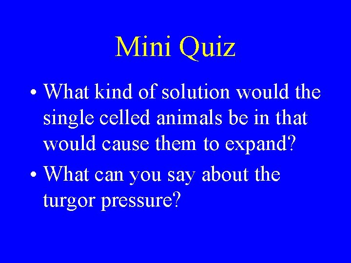 Mini Quiz • What kind of solution would the single celled animals be in
