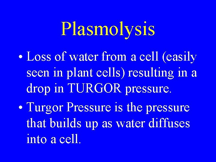 Plasmolysis • Loss of water from a cell (easily seen in plant cells) resulting