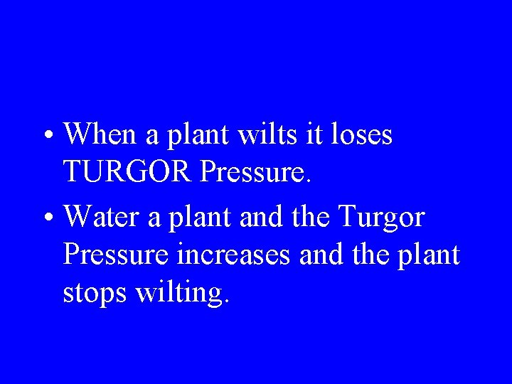  • When a plant wilts it loses TURGOR Pressure. • Water a plant