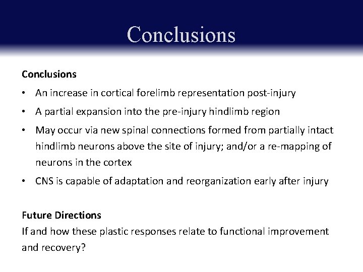 Conclusions • An increase in cortical forelimb representation post-injury • A partial expansion into