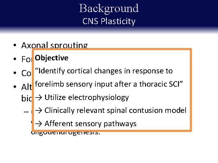 Background CNS Plasticity • • Axonal sprouting “Theof adult CNS is known to be