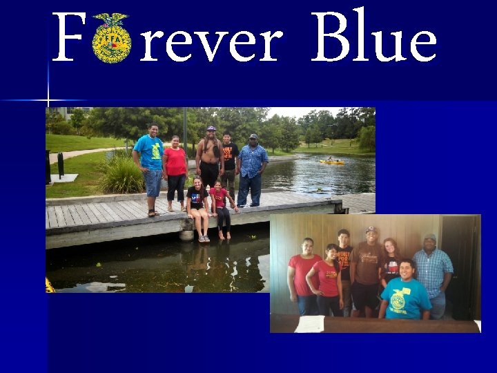 F rever Blue 