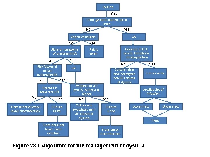 Dysuria Yes Child, geriatric patient, adult male No Yes UA Vaginal complaints No Yes