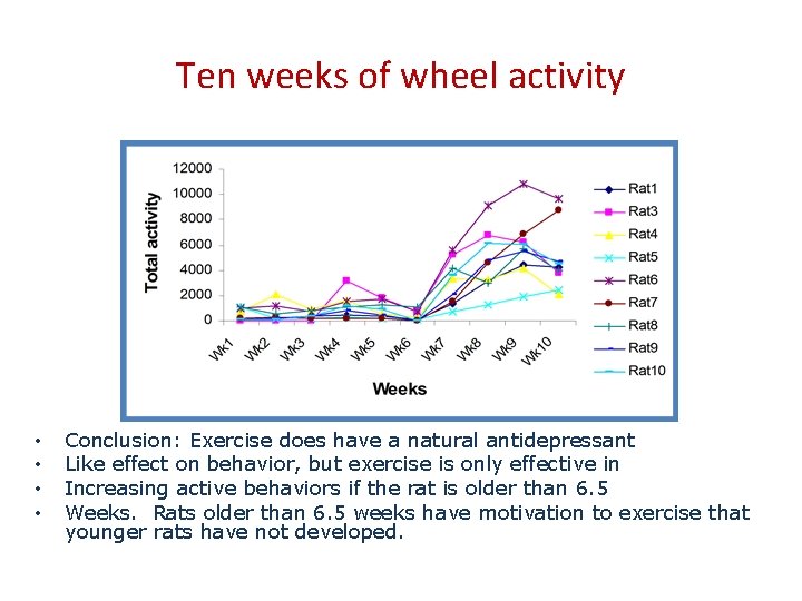 Ten weeks of wheel activity • • Conclusion: Exercise does have a natural antidepressant
