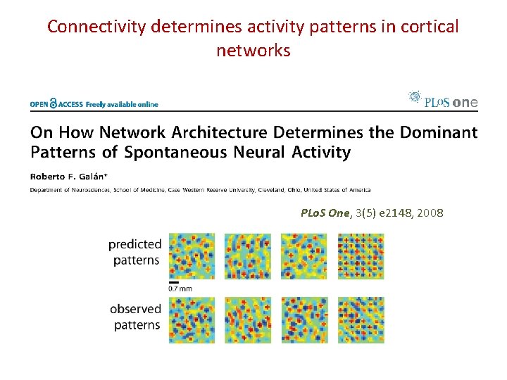 Connectivity determines activity patterns in cortical networks PLo. S One, 3(5) e 2148, 2008