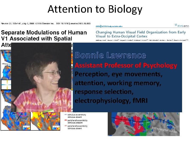 Attention to Biology Bonnie Lawrence Assistant Professor of Psychology Perception, eye movements, attention, working