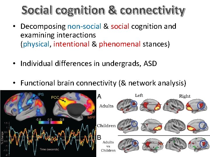 Social cognition & connectivity • Decomposing non-social & social cognition and examining interactions (physical,