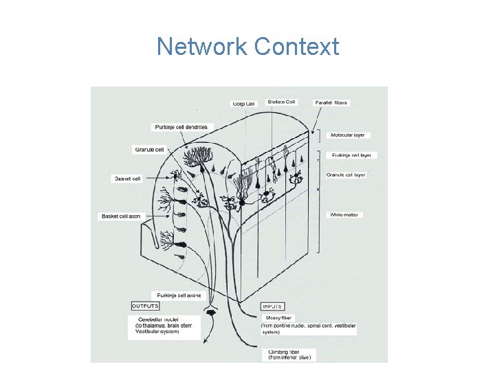 Network Context 