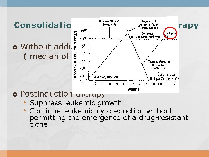 Consolidation and Maintenance therapy Without additional therapy, relapse ( median of 1 to 2