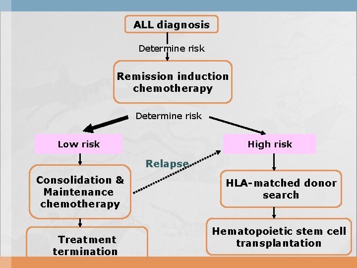 ALL diagnosis Determine risk Remission induction chemotherapy Determine risk Low risk High risk Relapse