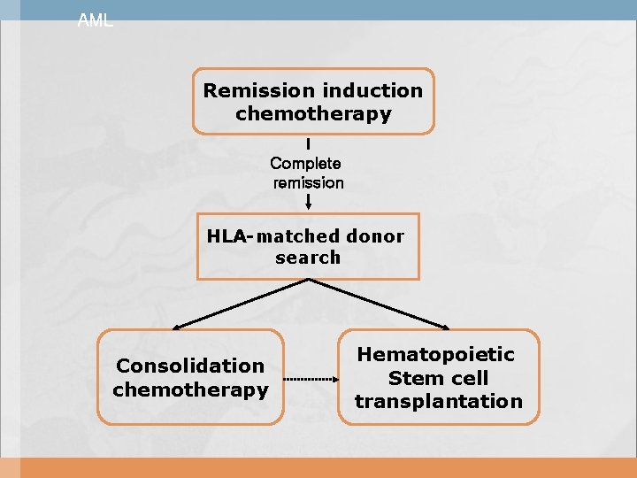 AML Remission induction chemotherapy Complete remission HLA-matched donor search Consolidation chemotherapy Hematopoietic Stem cell