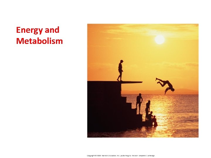 Energy and Metabolism 