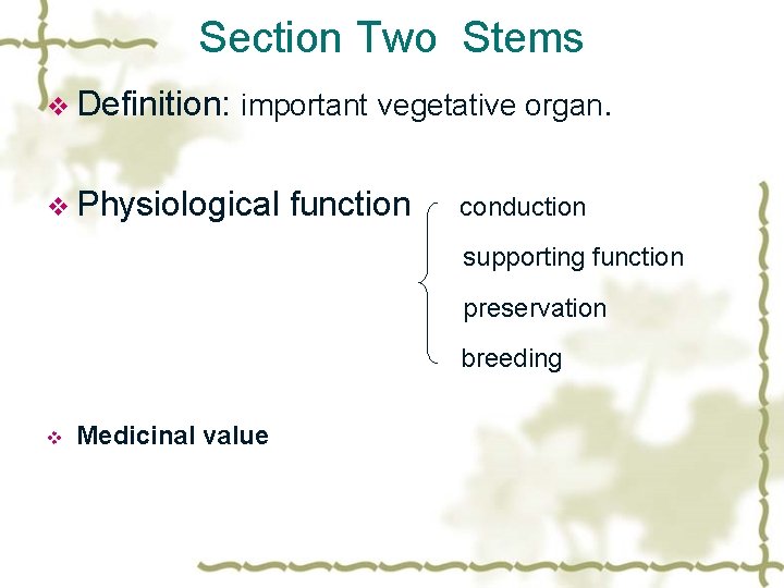 Section Two Stems v Definition: important vegetative organ. v Physiological function conduction supporting function
