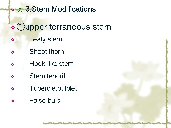 v ☆ 3. Stem Modifications v ①upper terraneous stem v Leafy stem v Shoot