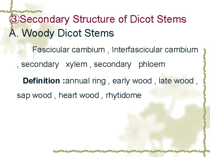 ③Secondary Structure of Dicot Stems A. Woody Dicot Stems Fascicular cambium , Interfascicular cambium