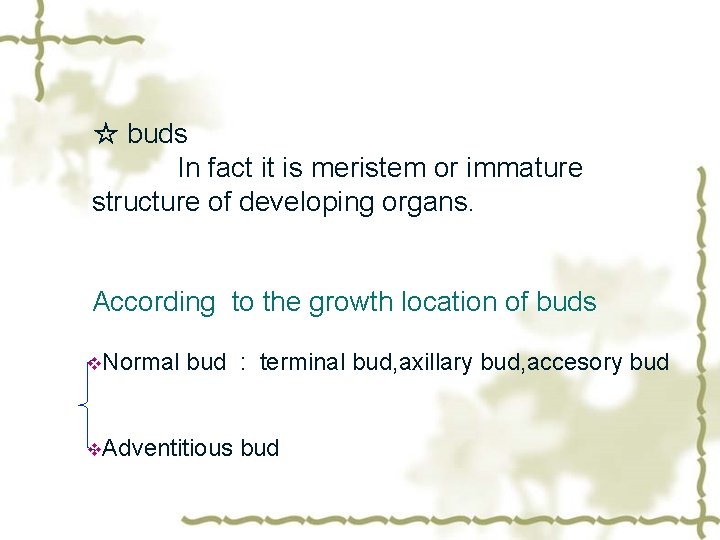 ☆ buds In fact it is meristem or immature structure of developing organs. According