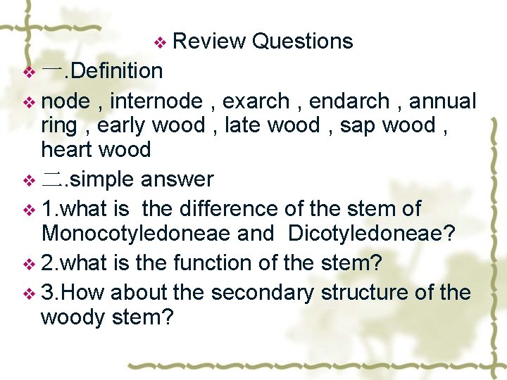 v Review Questions v 一. Definition v node , internode , exarch , endarch
