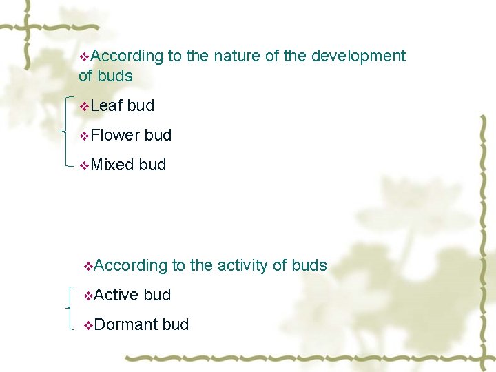 v. According to the nature of the development of buds v. Leaf bud v.