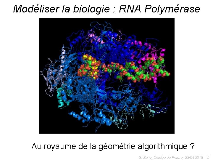 Modéliser la biologie : RNA Polymérase Au royaume de la géométrie algorithmique ? G.
