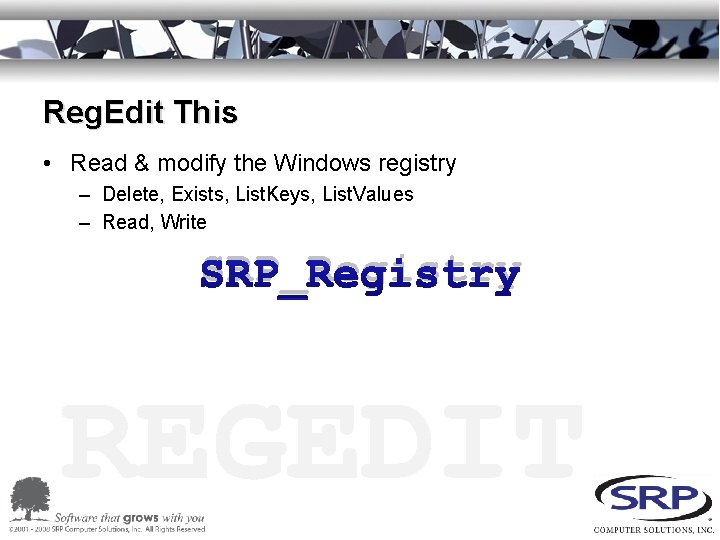 Reg. Edit This • Read & modify the Windows registry – Delete, Exists, List.