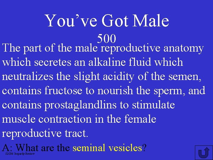 You’ve Got Male 500 The part of the male reproductive anatomy which secretes an