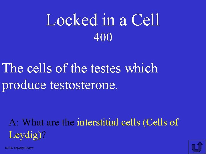 Locked in a Cell 400 The cells of the testes which produce testosterone. A: