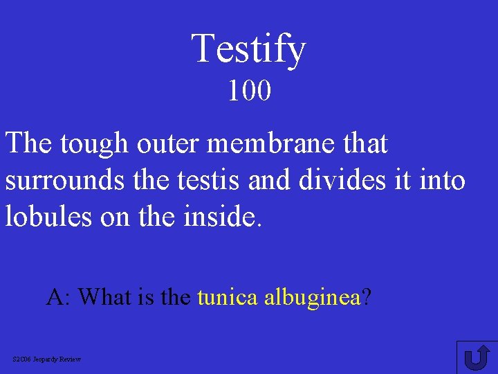 Testify 100 The tough outer membrane that surrounds the testis and divides it into