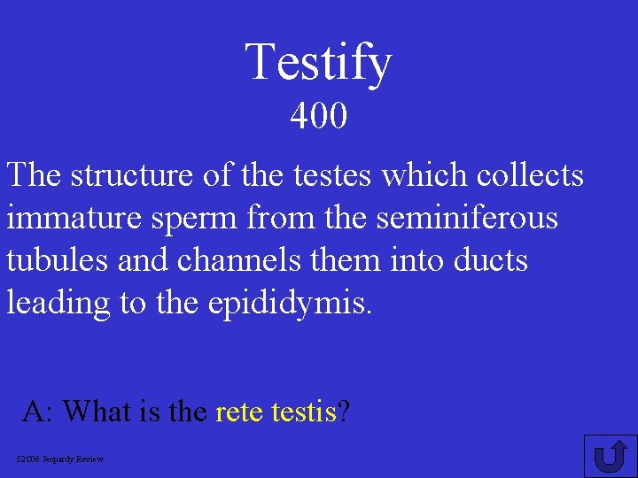Testify 400 The structure of the testes which collects immature sperm from the seminiferous