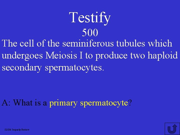 Testify 500 The cell of the seminiferous tubules which undergoes Meiosis I to produce