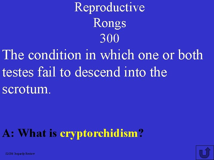 Reproductive Rongs 300 The condition in which one or both testes fail to descend