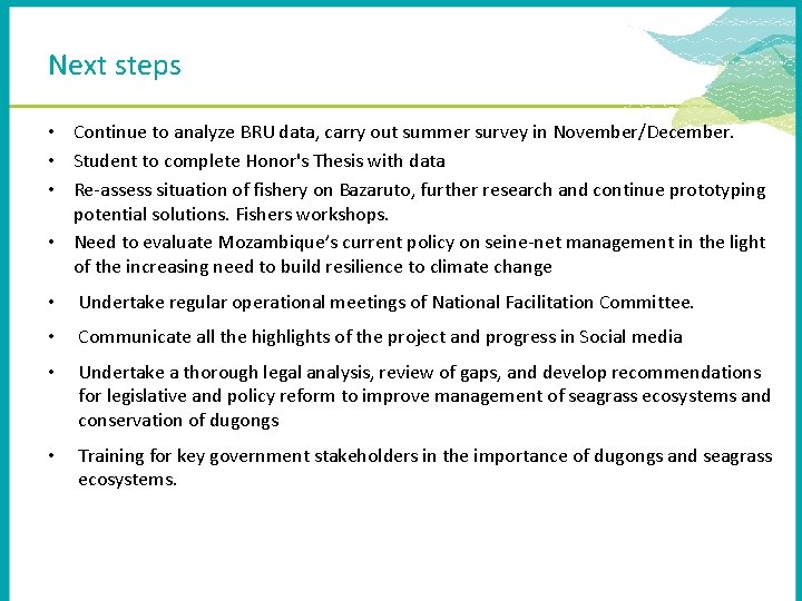 Next steps • Continue to analyze BRU data, carry out summer survey in November/December.