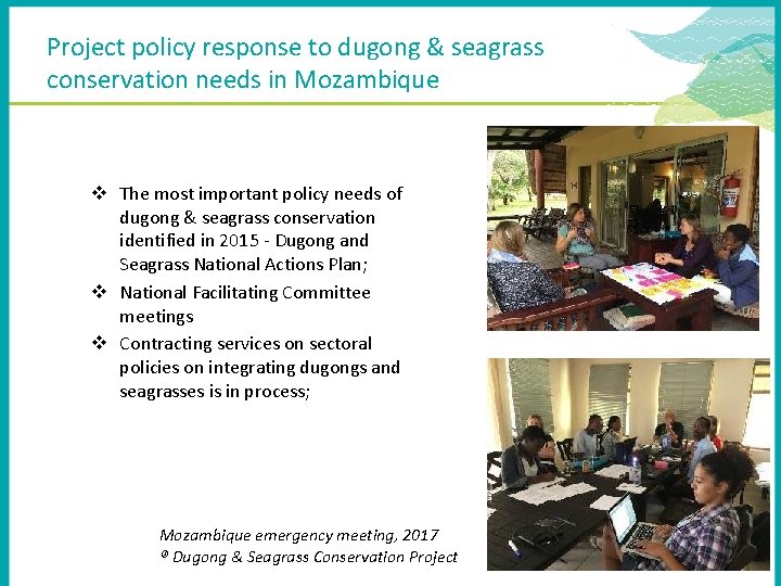 Project policy response to dugong & seagrass conservation needs in Mozambique v The most